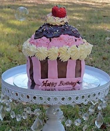 Giant Cupcake for a Girl
